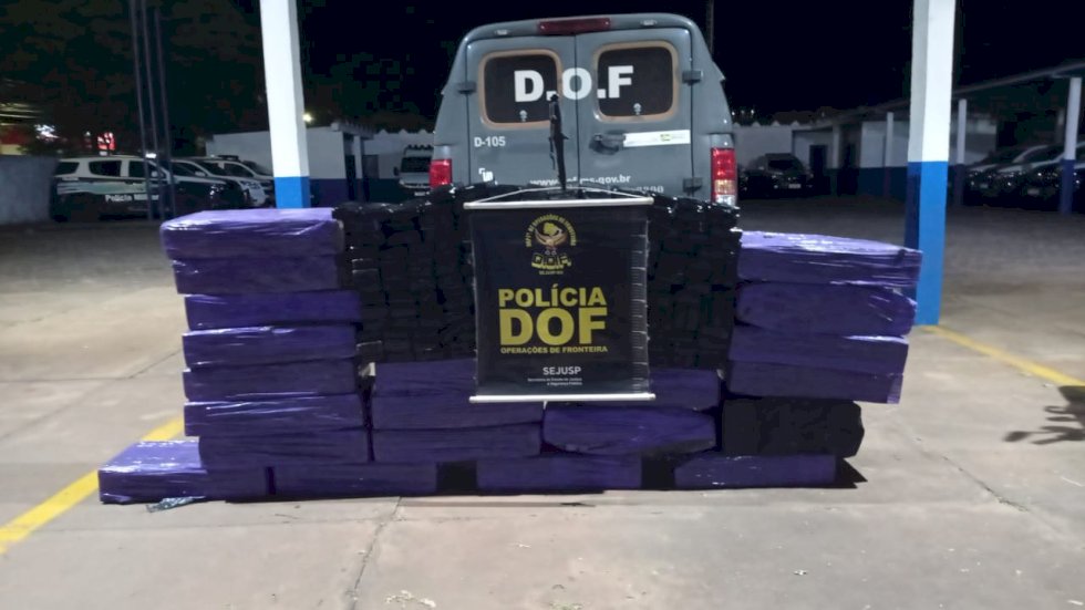 DOF apreende quase meia tonelada de maconha em plantação de milho.