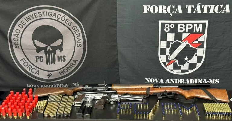 Durante ação conjunta, Polícia Civil e Polícia Militar recuperam armas de fogo e munições em Nova Andradina