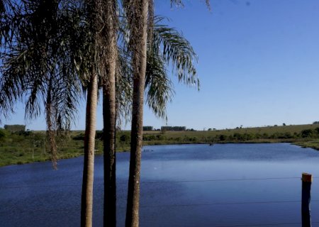 Nesta segunda-feira a temperatura pode atingir até 43°C em algumas regiões do estado.
