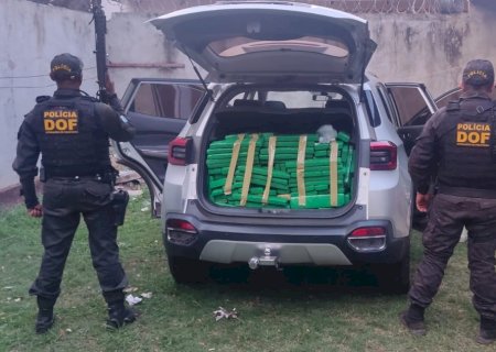 Quase meia tonelada de maconha é apreendida pelo DOF