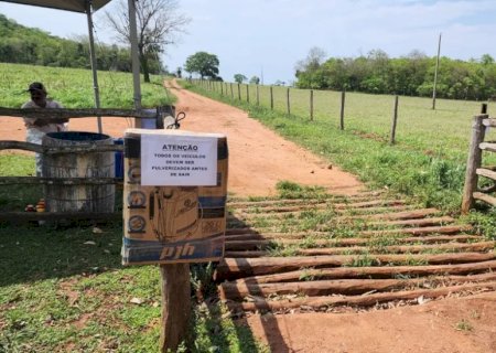 Ministério da Agricultura confirma 1º foco de gripe aviária em criação de aves domésticas em MS