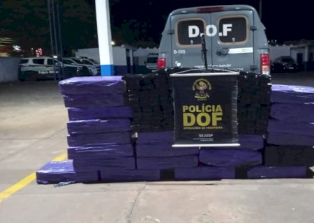 DOF apreende quase meia tonelada de maconha em plantação de milho.