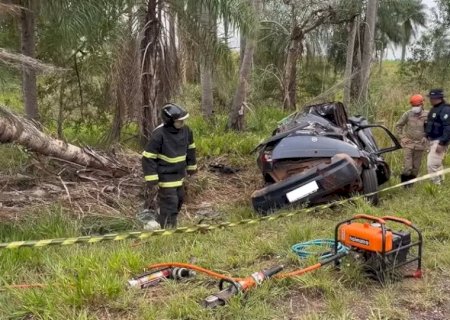 Motorista perde controle da direção e morre ao bater carro em coqueiro .
