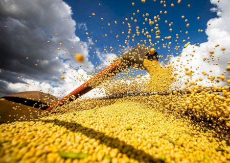 Safra agrícola deverá superar 318 milhões de toneladas neste ano .