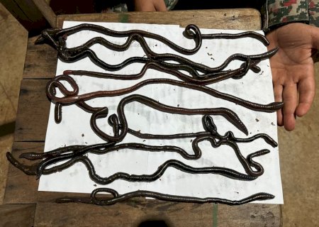 PMA de Dourados autua homem em R$ 5.000,00 por utilizar minhocoçu em pescaria.