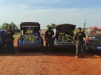 DOF apreende mais de 2,2 toneladas de drogas, recupera dois veículos roubados e recaptura foragido da justiça
