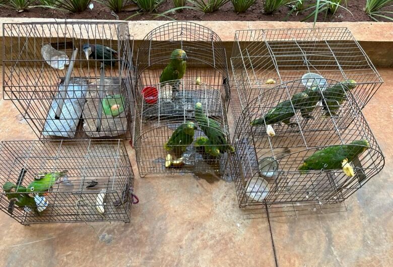 Homem é multado em R$ 5,5 mil por manter aves em cativeiro