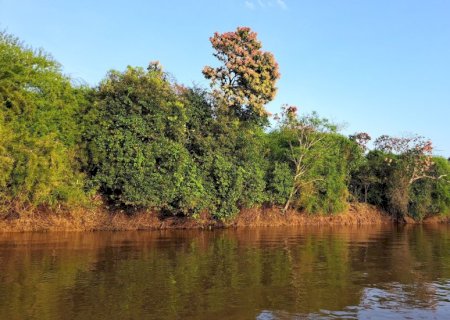 Temperaturas voltam a subir e Mato Grosso do Sul registra até 42°C nesta terça-feira