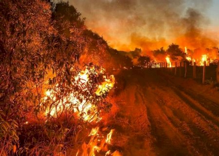 Pantanal sofre e grande área está chamas e Governo de MS decreta situação de emergência em 5 cidades por incêndios florestais