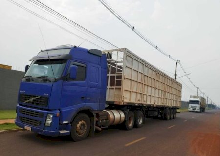 DOF apreende mais de cinco toneladas de drogas em uma carga de cavaco de madeira