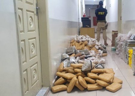 PRF apreende cocaína, skunk e haxixe