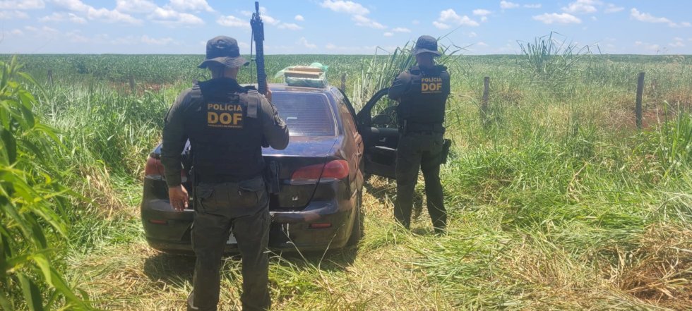 DOF apreende veículo com mais de meia tonelada de maconha