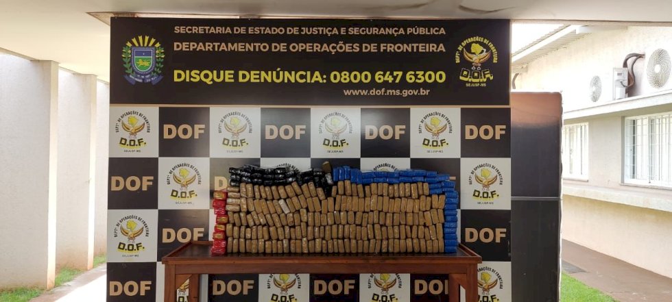Quase 200 quilos de maconha são apreendidos pelo DOF em uma residência
