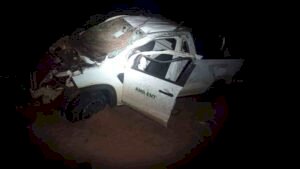 Motorista de picape morre ao atropelar anta na MS-040