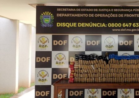 Quase 200 quilos de maconha são apreendidos pelo DOF em uma residência