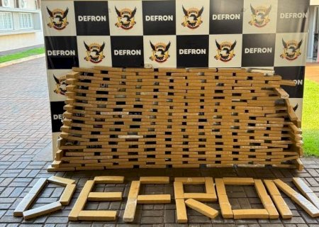 Polícia Civil apreende aproximadamente 200kg de maconha