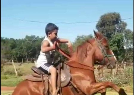 Menino de Batayporã que teria sido picado por escorpião morre em Dourados