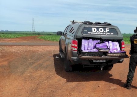 DOF apreende droga que seria levada para Rondônia e prende duas mulheres