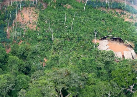 Desmatamento em áreas protegidas da Amazônia cai 73% em 2023