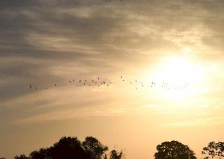 Previsão de sol e possibilidade de chuvas para este sábado em todo o Estado