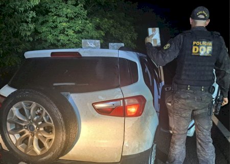 DOF apreende mais de R$ 225 mil em cocaína e pasta base de cocaína