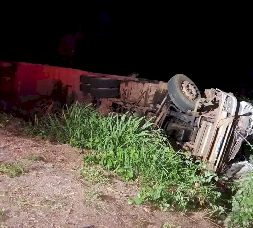 Caminhão com 100 bovinos tomba e motorista morre