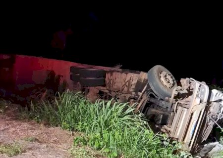 Caminhão com 100 bovinos tomba e motorista morre