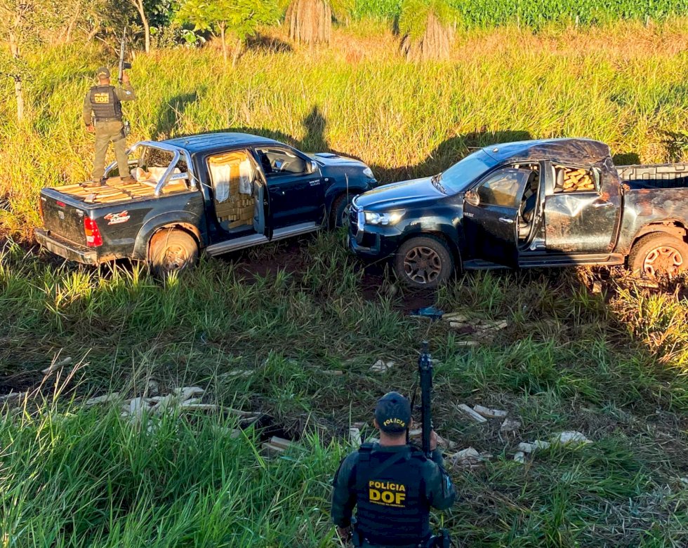 Carga milionária de maconha é apreendida pelo DOF