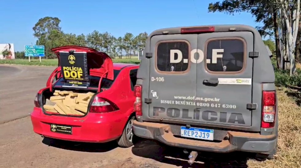 Homem que seguia para Goiás com mais de meia tonelada de maconha é preso pelo DOF