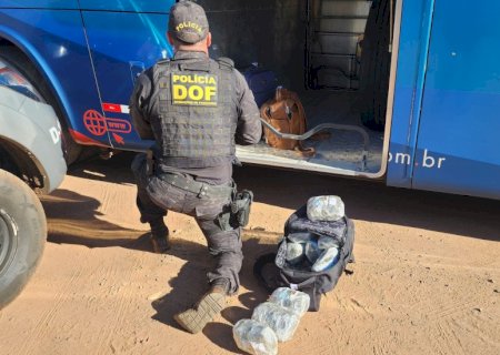 Passageiro de ônibus que seguia com droga para Campo Grande é preso pelo DOF