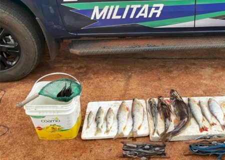 Angélica - PMA autua em R$ 8.082,00 pescador com 13 exemplares de peixes, petrechos proibidos em rio de MS