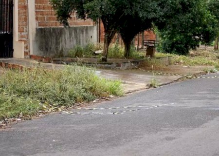 Jovem mata cunhado ao ver irmã ser agredida