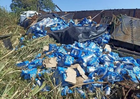 Carreta carregada de cerveja tomba e carga fica espalhada às margens da MS-276