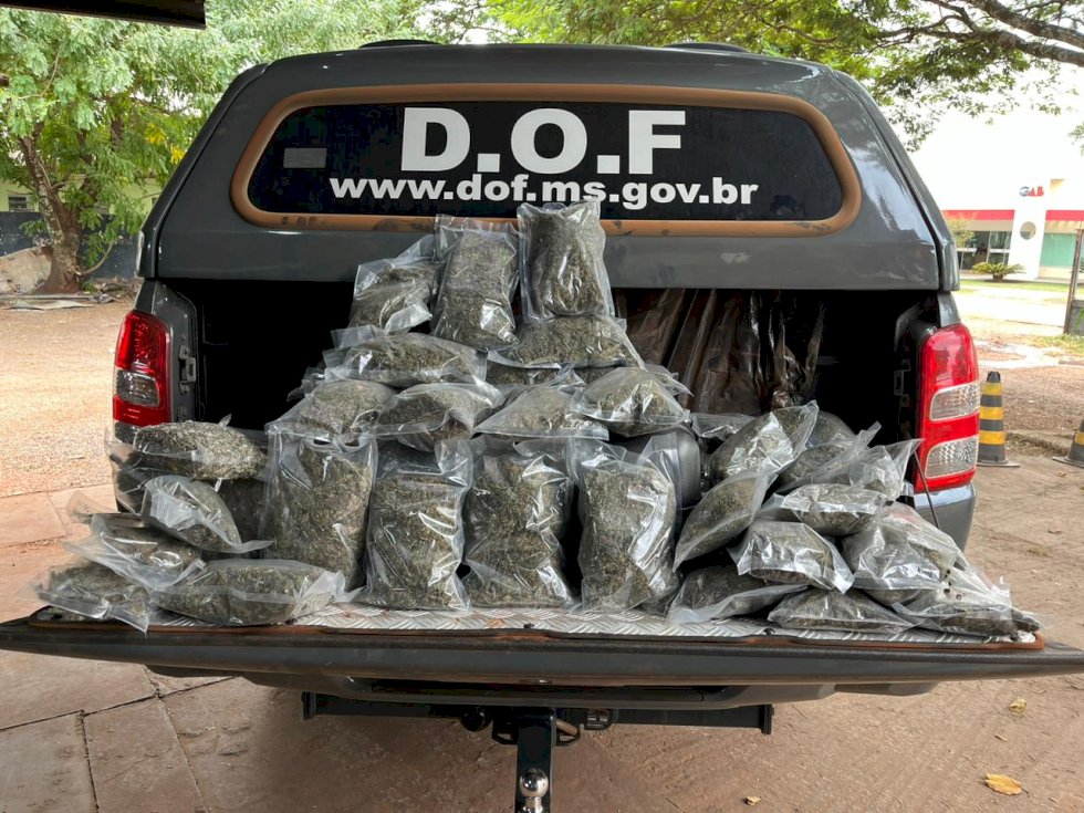 Homem que seguia com mais de 10 quilos de skank para Três Lagoas é preso pelo DOF