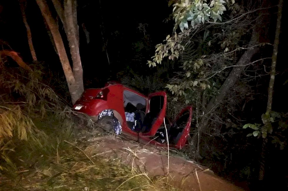Jovem de 17 anos morre após carro colidir com árvore na MS-339