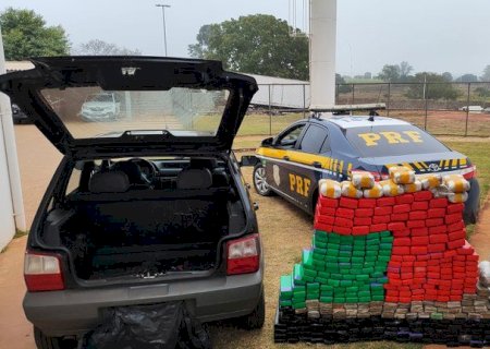 PRF apreende 293 Kg de maconha e skunk