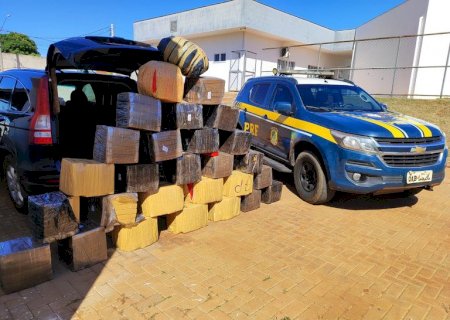 PRF apreende 515 kg de maconha e skunk em Brasilândia