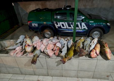 Polícia Militar Ambiental realiza apreensão de 283 kg de pescado ilegal e veículo