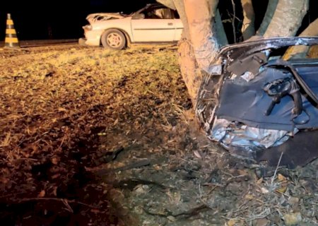 Mulher e menina de 9 anos morrem após Corsa bater em árvore na margem de estrada