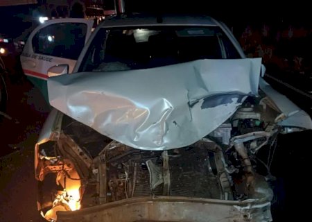 Veículo de prefeitura colide em anta na MS-040 e deixa paciente ferida