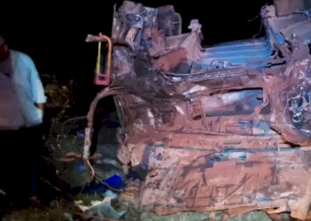 Carreta de boi cai em vala, motorista sai ileso e animais morrem na rodovia
