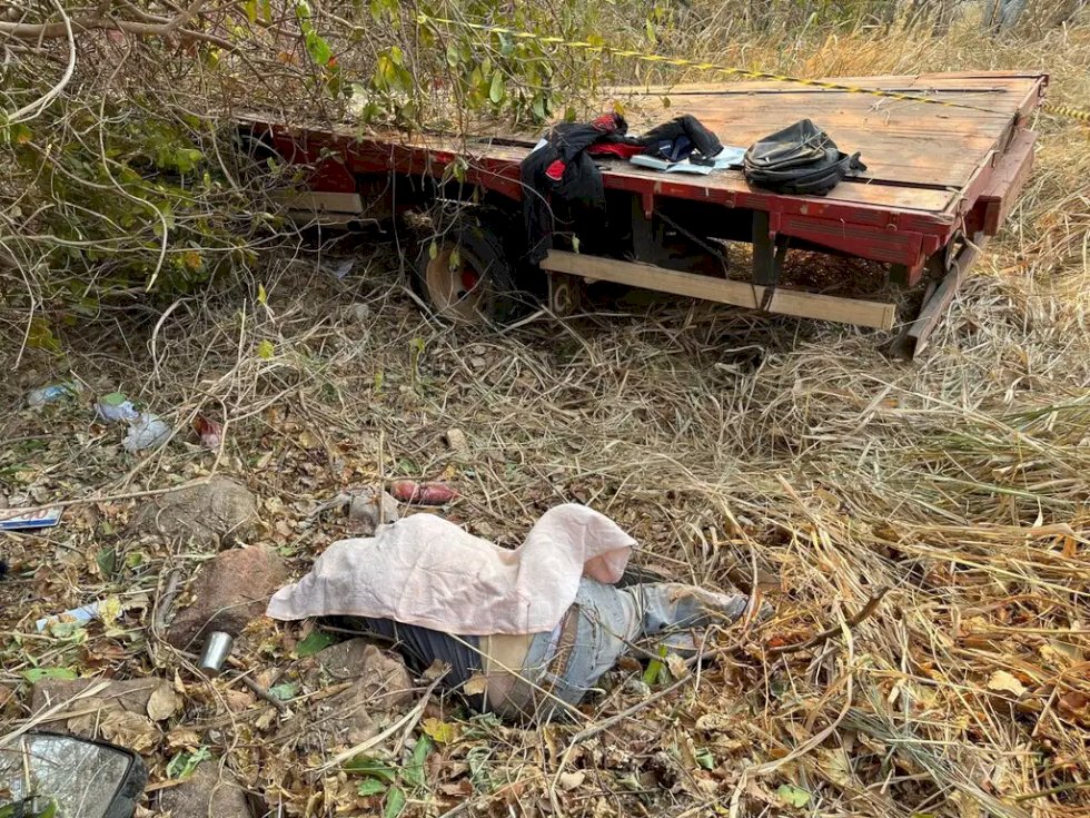 Motorista de caminhão morre após perder controle e cair 15 metros em ribanceira