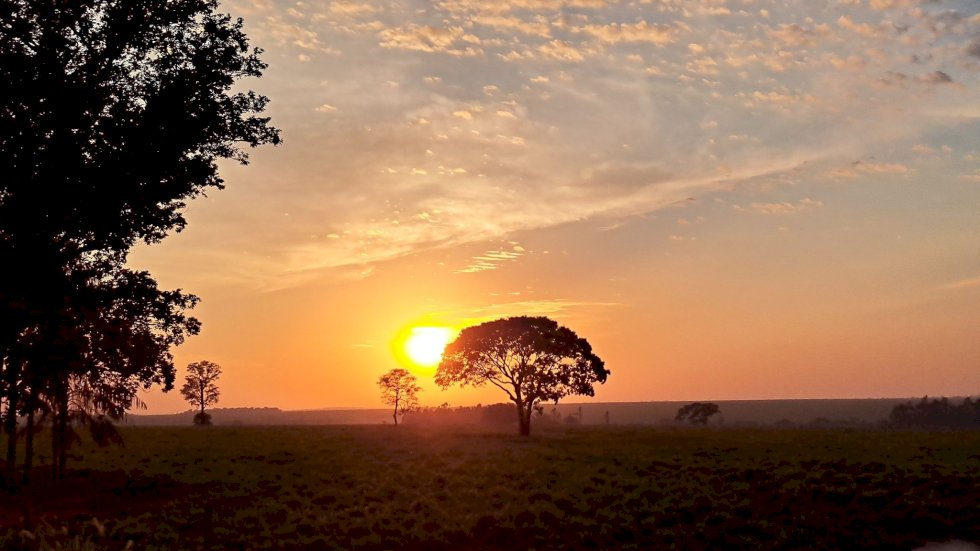MS vai de calor extremo e umidade de deserto a chance de chuva com frio de 10ºC