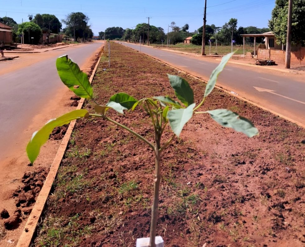 Município de Angélica se destaca na região, com obras de drenagem e Pavimentação Asfáltica em Avenidas e ruas da cidade e distrito Ipezal