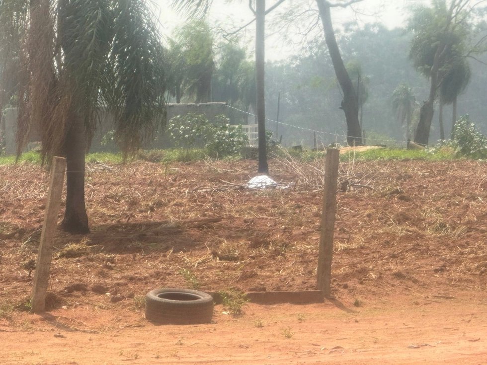 Morador de Ivinhema é encontrado morto em plantação de mandioca em Nova Andradina