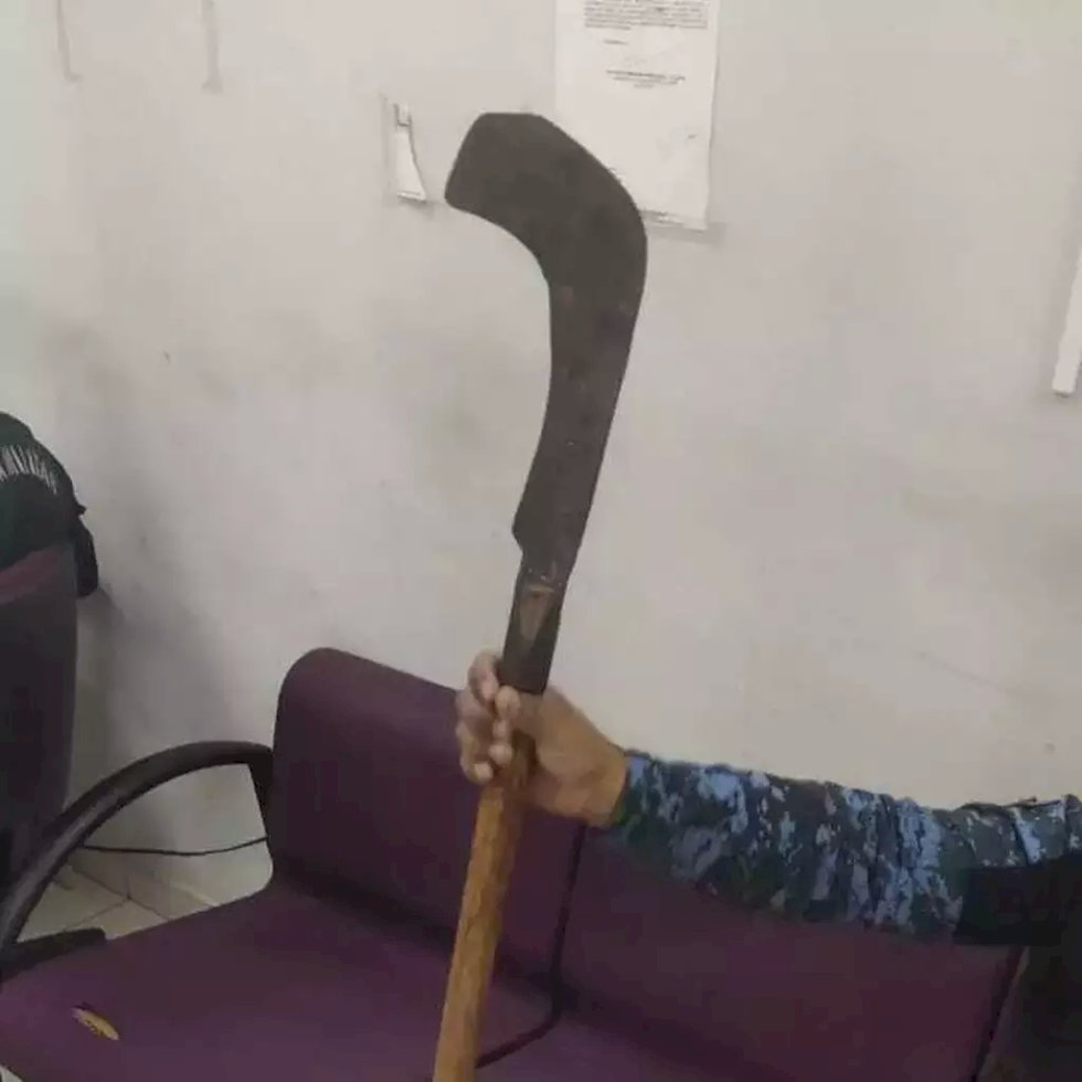 Homem é preso tentando matar toda a família com golpe de foice