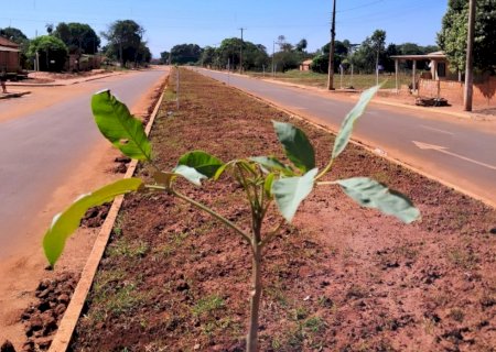 Município de Angélica se destaca na região, com obras de drenagem e Pavimentação Asfáltica em Avenidas e ruas da cidade e distrito Ipezal