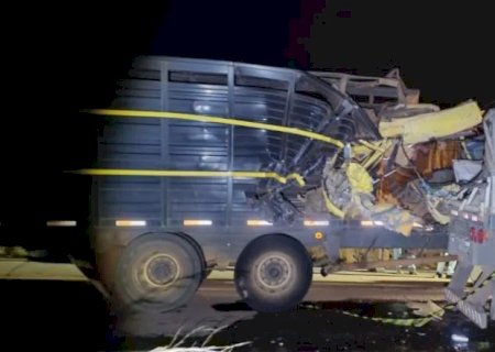 Acidente com caminhões entre Bataguassu e Santa Rita do Pardo deixa motorista ferido