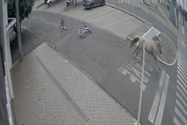 Jovem arrastado por cavalo em cidade de MS não teria tentado furtar animal