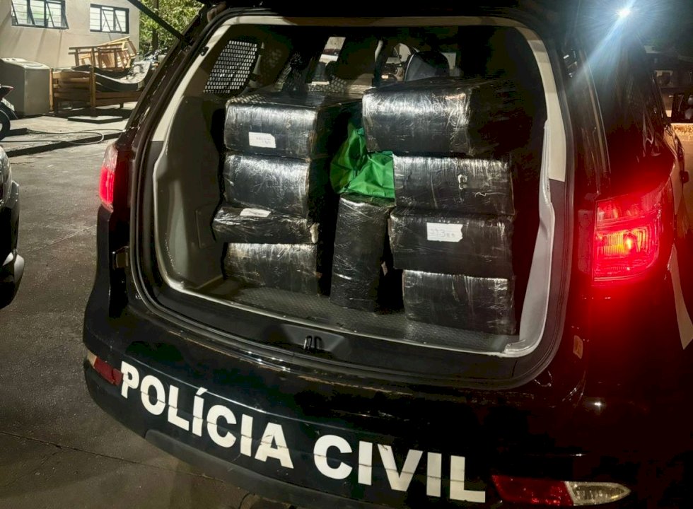 Polícia Civil apreende 250kg de maconha e prende suspeito em flagrante em Naviraí